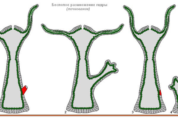 Кракен офф сайт